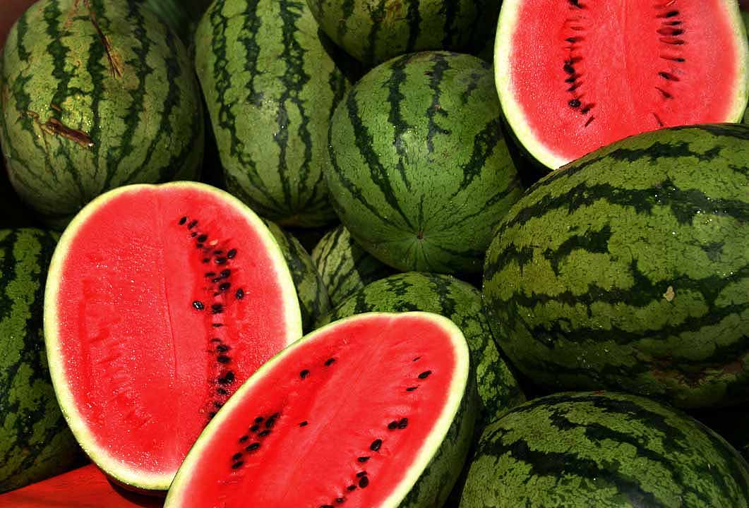 Tarbuz (Watermelon) Bulk Supplier India from VegTradeHub