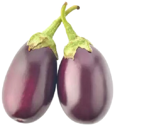 Brinjal