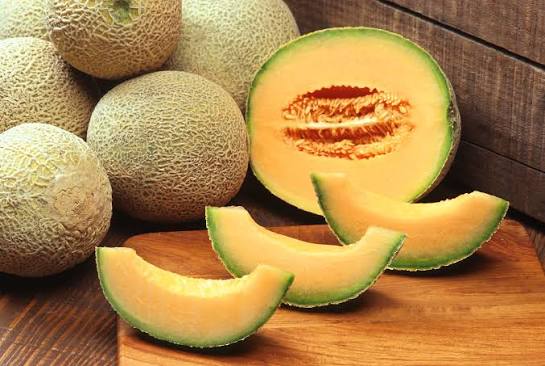 Bulk kharbuza muskmelon supplier India