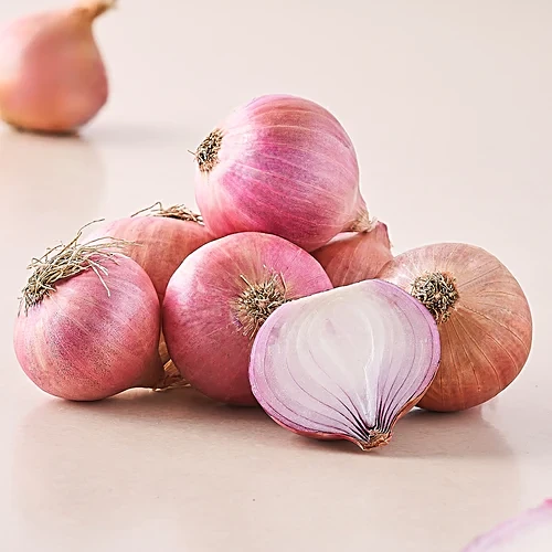 Red onion bulk supplier India