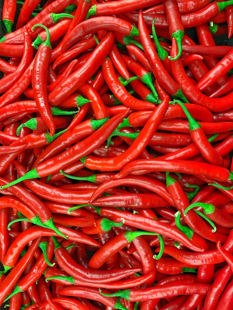 Dry Red Chilli Wholesale Exporter India