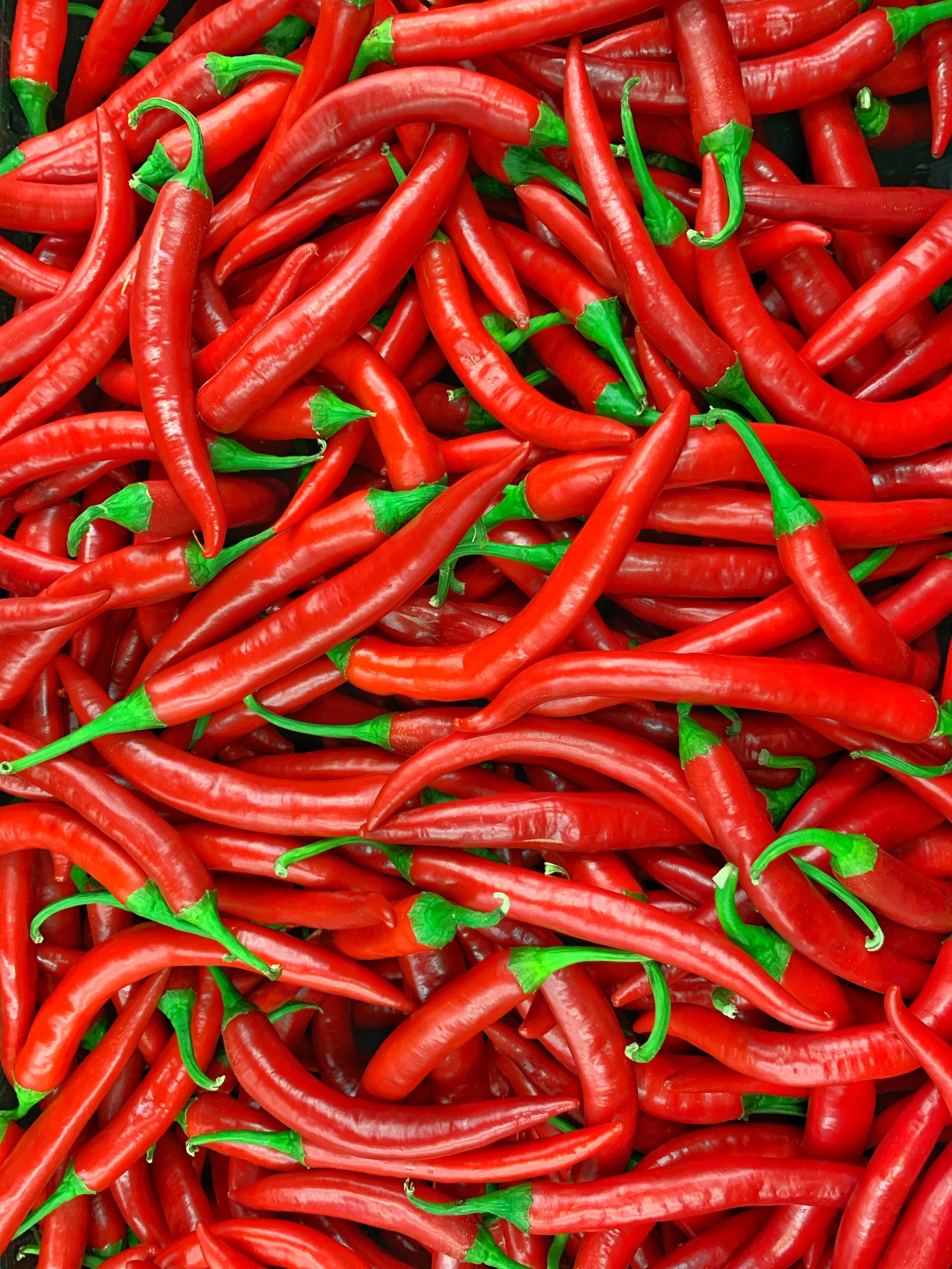 Red Chilli