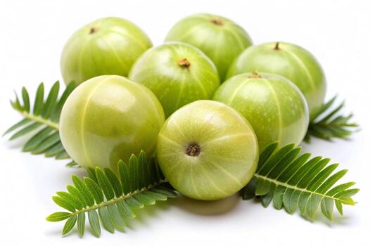 Aawla Indian gooseberry bulk supplier India