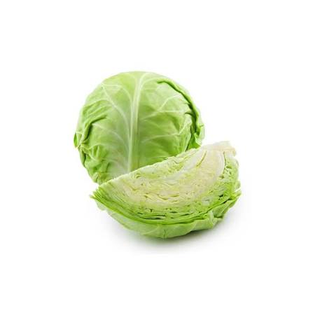 Fresh green and white cabbage heads from Jodhpur, Rajasthan - VegTradeHub bulk supply