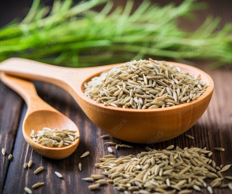 Jeera cumin seeds wholesale India