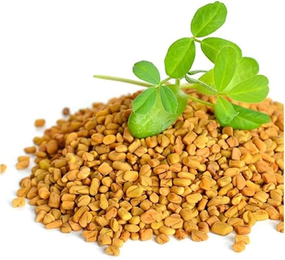 Methi Dana fenugreek seeds bulk supplier India