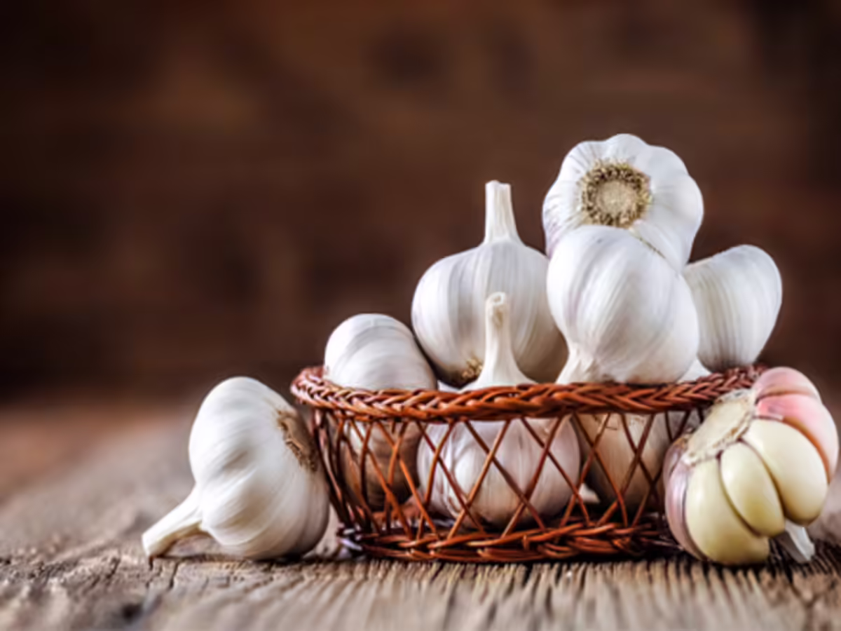 Garlic bulk supplier India