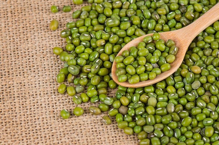 Mung dal bulk supplier India