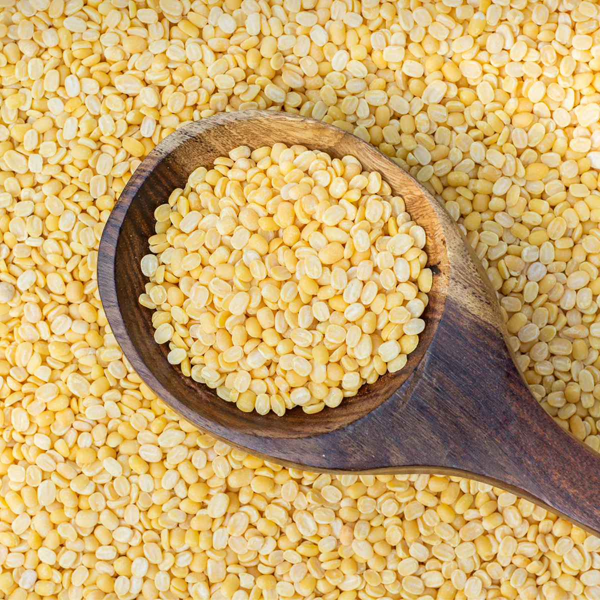 Split mung dal bulk supplier India