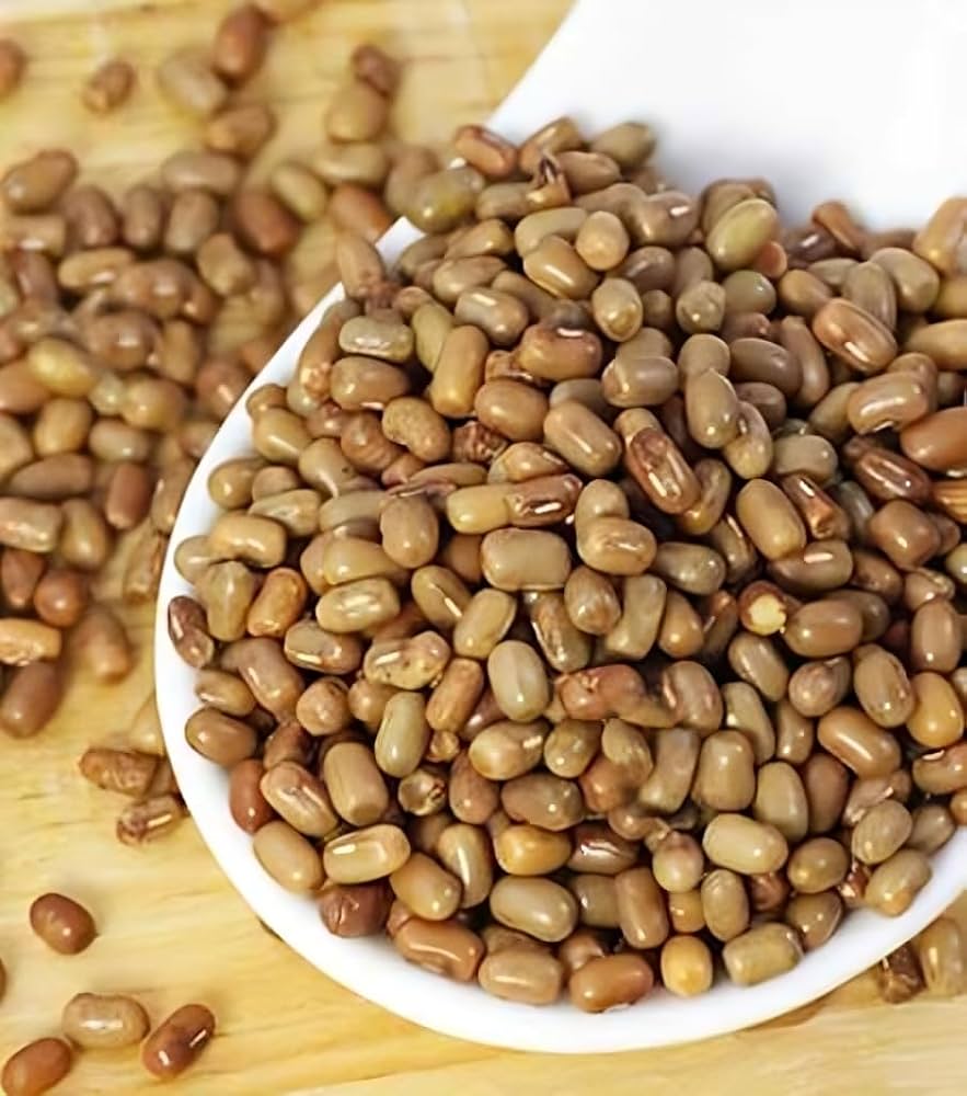 Moth Dal moth bean bulk supplier India