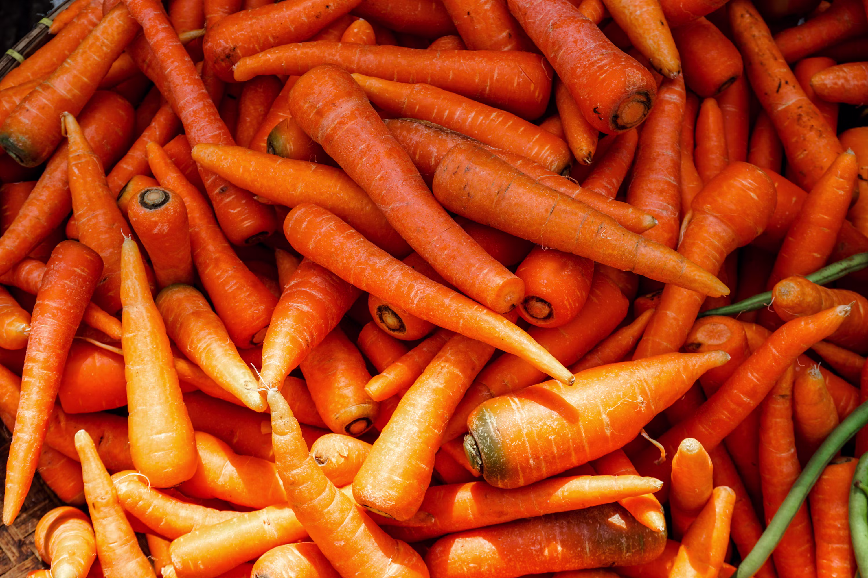 Export-grade fresh orange carrots from VegTradeHub showing uniform size, deep orange color and clean skin finish