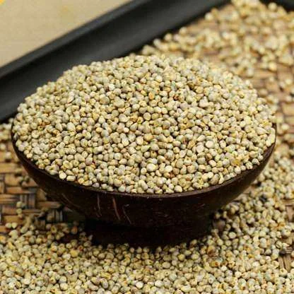 Rajasthani Bajra pearl millet bulk supplier India