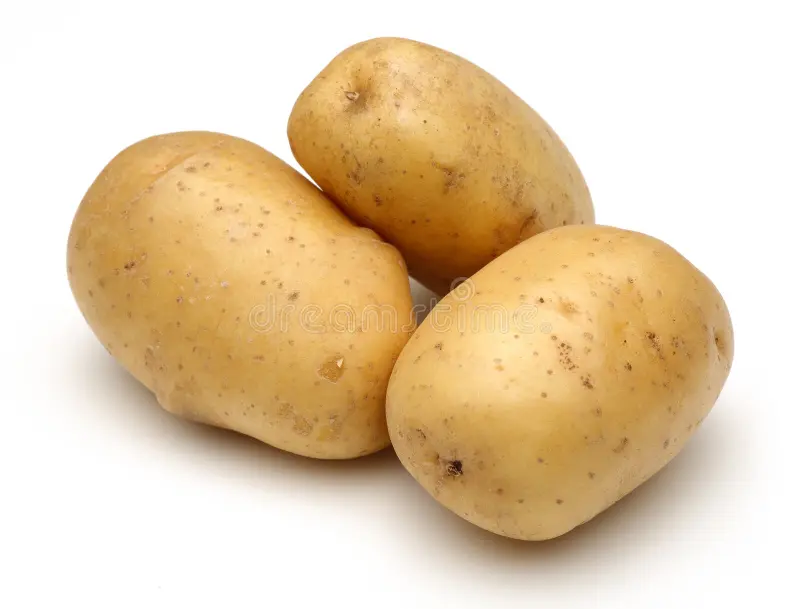 Export-quality fresh potato tubers from VegTradeHub showing uniform size and clean skin