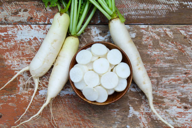 Export-quality fresh radish (mooli/daikon) from VegTradeHub showing uniform size and clean white skin