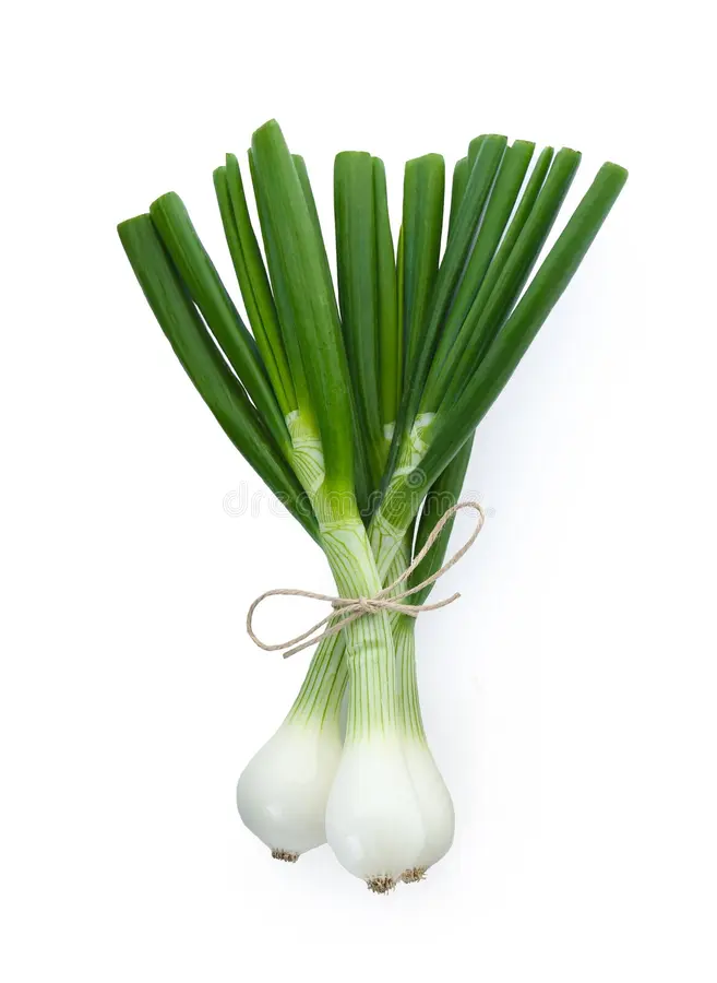 Fresh spring onion (hara pyaz) bunches with vibrant green leaves and white stems