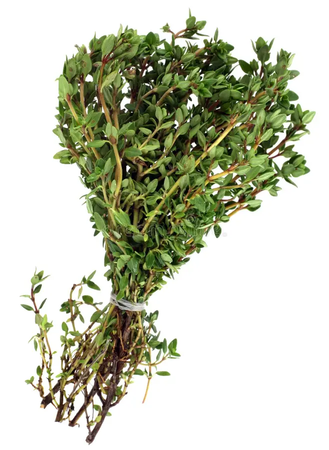 Dried thyme leaves  - whole-leaf grade in bulk export packing