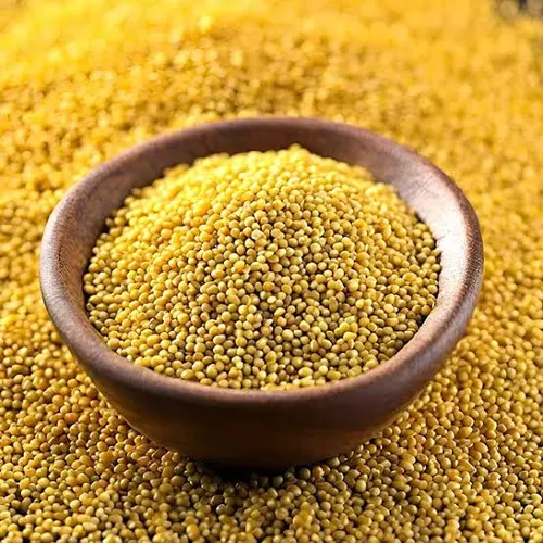 Pili Sarso yellow mustard bulk supplier India
